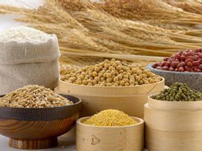 体外受精女性治疗前较多的全谷物摄入或可提高活产率