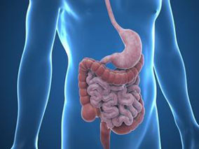 英夫利昔单抗能减少克罗恩氏病相关切除后内窥镜下复发