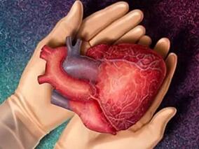 女17岁,未婚,学生,诊断为心肌病终末期