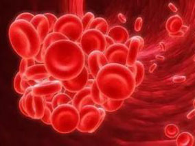 肝素诱导的血小板减少症的临床警戒