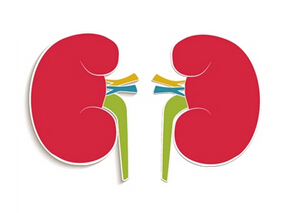 多学科讨论：DPP-4抑制剂可作为糖尿病肾病的肾脏保护药？