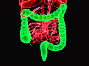 厄贝沙坦可用于治疗转移性结直肠癌?
