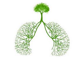 社区获得性肺炎住院前和住院期间使用他汀可改善LOS或院内死亡率？