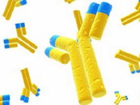 Elotuzumab或可使复发性/难治性多发性骨髓瘤患者获益