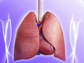 利妥昔单抗用于自身免疫性结缔组织病相关间质性肺炎的疗效