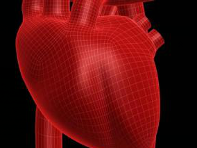 经桡动脉介入可能会减弱比伐卢定减少患者出血的获益