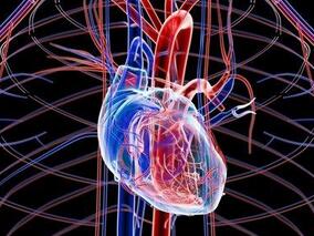 男50岁，发作性胸闷4次，气短、乏力1月余