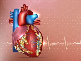 年龄、性别和监测对长期抗凝的影响