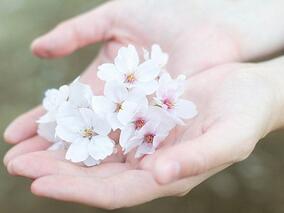 女63岁,子宫内膜癌术后3年余,下腹疼痛10天