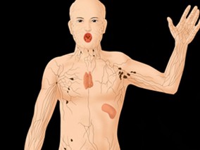 氨曲南和头孢菌素在T细胞介导的对青霉素过敏患者中的交叉反应