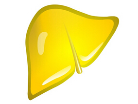 药物诱发肝损伤：2015年文献回顾亮点