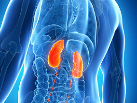 慢性肾病患者的10年心血管死亡风险有多高？