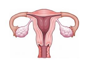 卵巢、输卵管或腹膜癌患者标准vs延长输注卡铂的过敏反应发生率