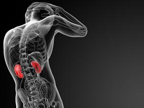 二肽基肽酶-4抑制剂增加急性肾损伤风险？