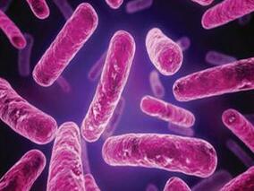 熊去氧胆酸还可治疗艰难梭菌相关憩室炎？