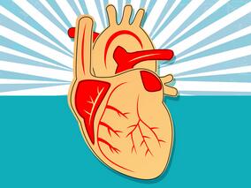 比伐卢定和桡动脉穿刺联合治疗急性冠脉综合征不优于单独使用任何一种