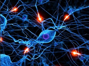 既往抗血栓治疗能改善急性缺血性卒中临床预后