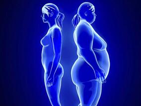 周玉杰教授：脂肪分布与心血管疾病的危险