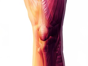 膝关节骨性关节炎：广泛使用的CS/GC联合用药方案或是南郭先生