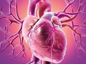 多学科讨论：冠脉疾病天算不如人算？