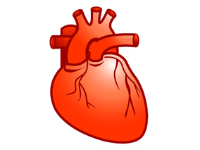 血液培养阴性的心内膜炎的经验性治疗效果如何？