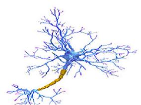 EPOCH联合利妥昔单抗治疗的淋巴瘤患者CNS复发率如何？