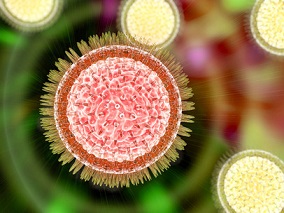 高流行区归国者增加寨卡病毒本地传播风险