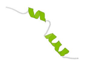 利拉鲁肽3.0 mg用于体重管理需要担心神经精神安全性吗?