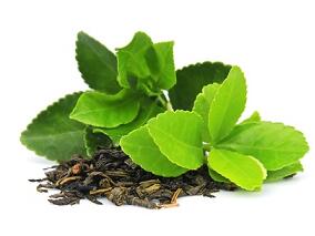 绿茶能帮助瘦身 是真的吗？