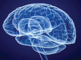 硼替佐米能否改善难治性抗NMDA受体脑炎的临床病程？