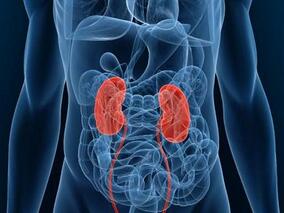 碳酸镧是否与肾病患者不良安全结局有关？