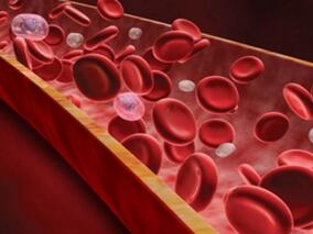 房颤患者:胰岛素依赖vs非胰岛素依赖型糖尿病的血栓栓塞风险