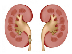 虚弱患者用药更需谨慎 肾功能测量应选用何种指标？
