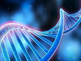 接受过生长激素治疗的年轻人停止生长激素治疗后5年有何改变？