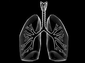 肺部肿块11个月余 因无典型病理和病原学证据一再错过正确诊断