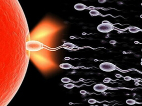 WHO组II无排卵女性的治疗策略比较