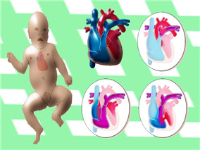 神经酰胺酶抑制剂与不良胎儿或新生儿结局风险增加是否相关?
