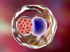 沙眼流行社区未必需要整个社区均进行治疗