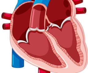 未使用过他汀的非心脏手术患者：他汀是否减少主要心血管并发症？