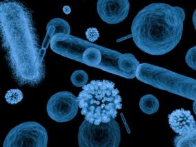 预测模型能识别出氟康唑失败高风险念珠菌血症患者