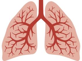 郑劲平教授：肺功能检查的临床应用和科研意义