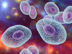 接受免疫抑制治疗的炎性肠病患者 肺囊虫肺炎绝对风险高不高？