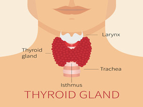 快来看!甲减性心脏病的鉴别诊断和治疗原则