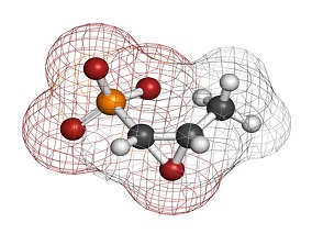 静脉注射磷霉素:从过去到现在