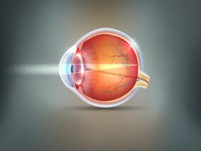 阿达木单抗联合甲氨蝶呤能减少活动性JIA相关葡萄膜炎治疗失败率