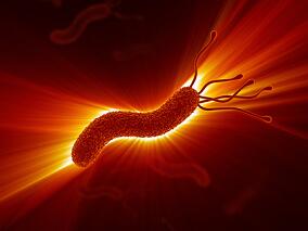 幽门螺杆菌相关慢性胃炎:10天B-四联 or OM-三联?