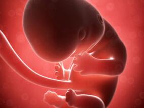 妊娠早期使用锂剂心脏畸形风险是否增加?