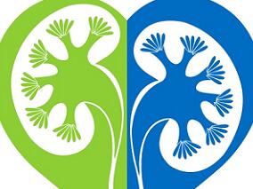 心脏手术成年患者围手术期限制IV氯能否减少肾损伤？