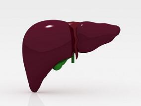 年轻男性饮酒后患无穷 生命后期严重肝病风险增加！