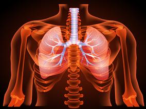 异烟肼耐药肺结核：不同治疗方法哪家强？